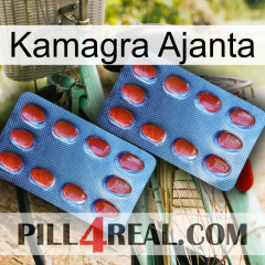 Kamagra Ajanta 05
